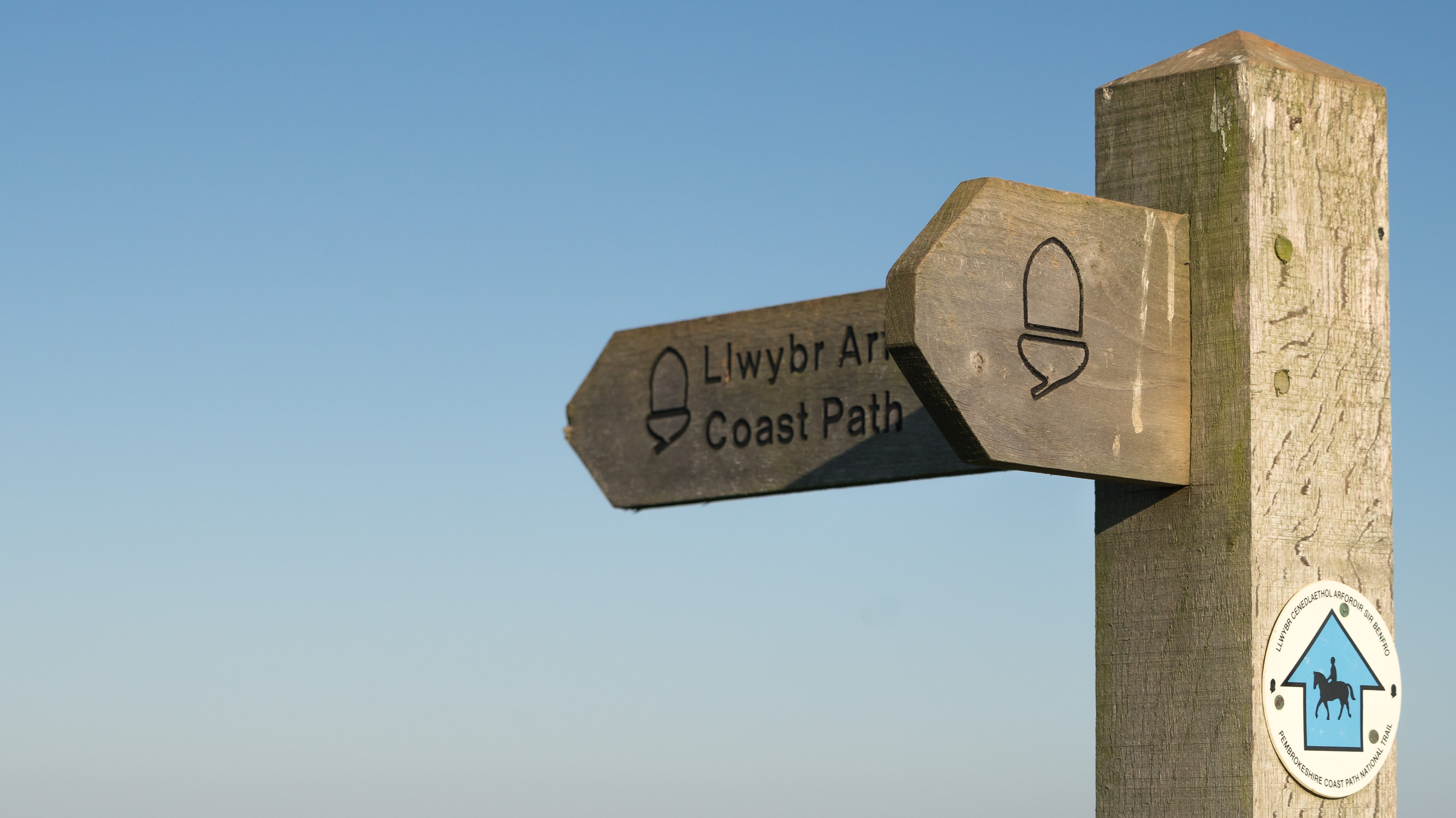 Wooden coast path direction sign, Pembrokeshire Coast Path, Pembrokeshire Coast National Park, Wales, UK