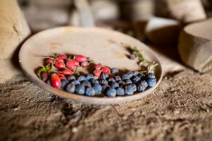 Fruit bowl at Castell Henllys Iron Age Village