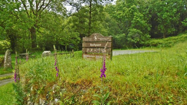 Sychpant Picnic Area, Gwaun Valley