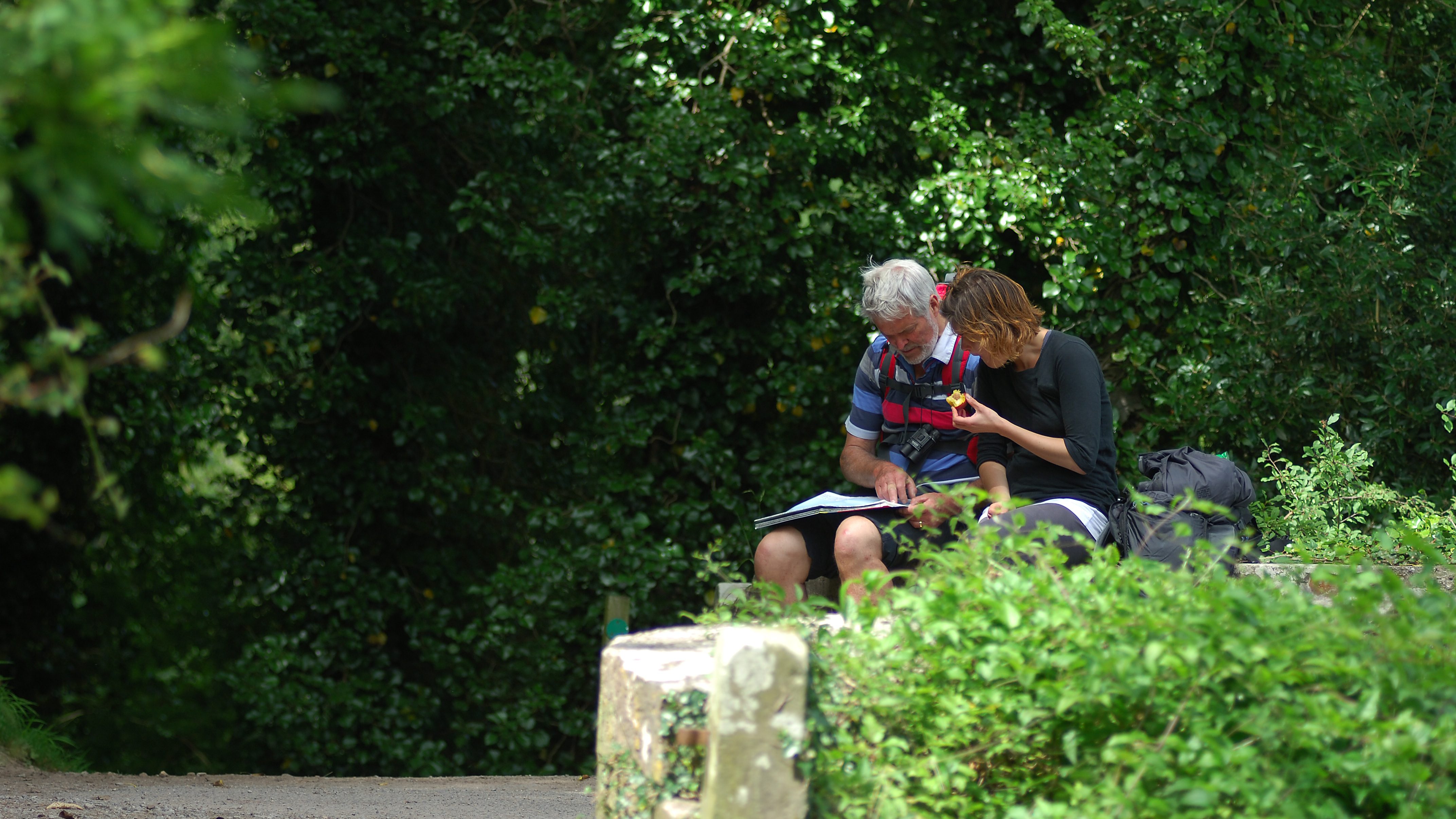 Couple reading map at Bosherston near Stackpole