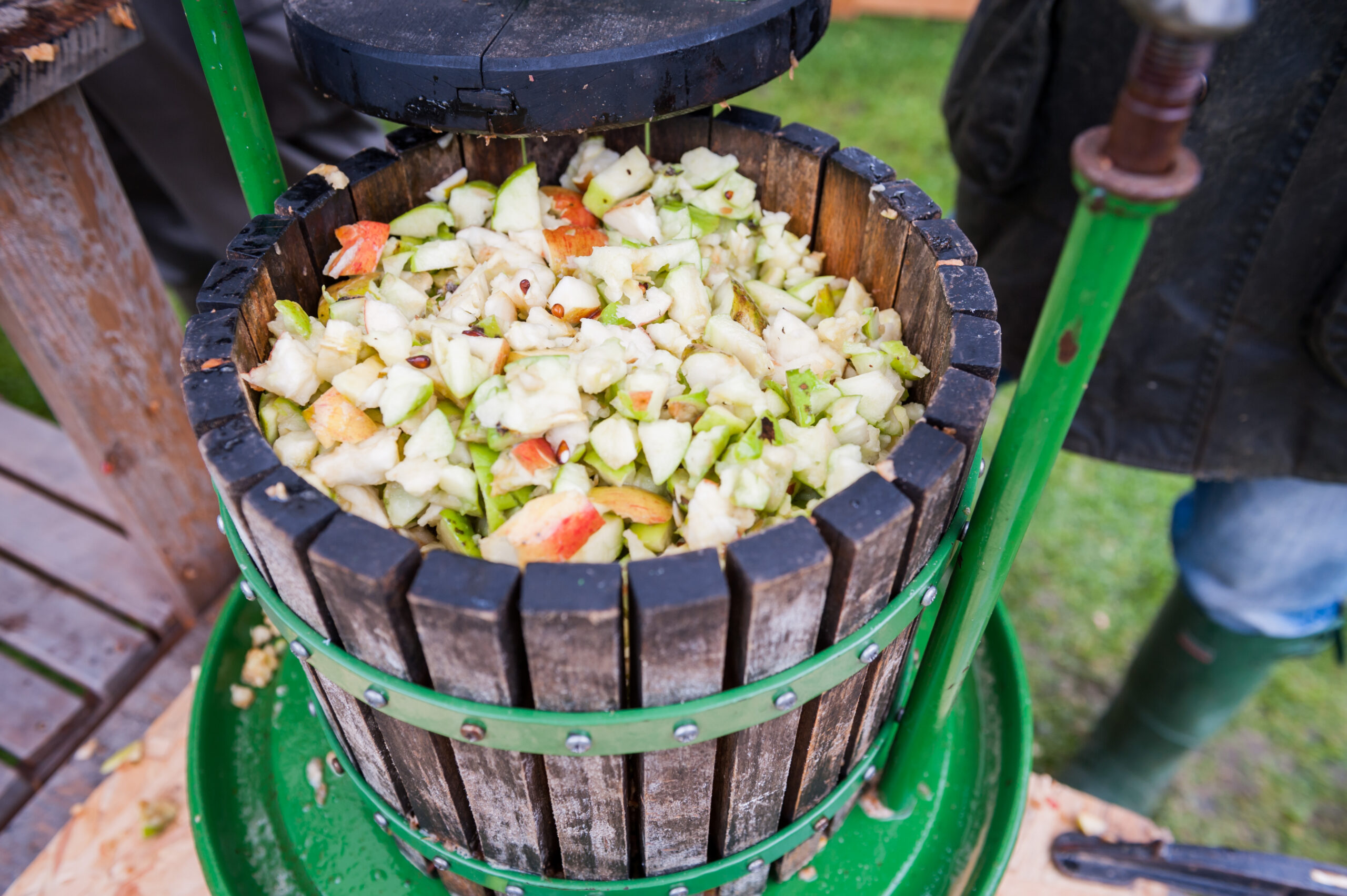 A barrel full of chopped up apple pieces