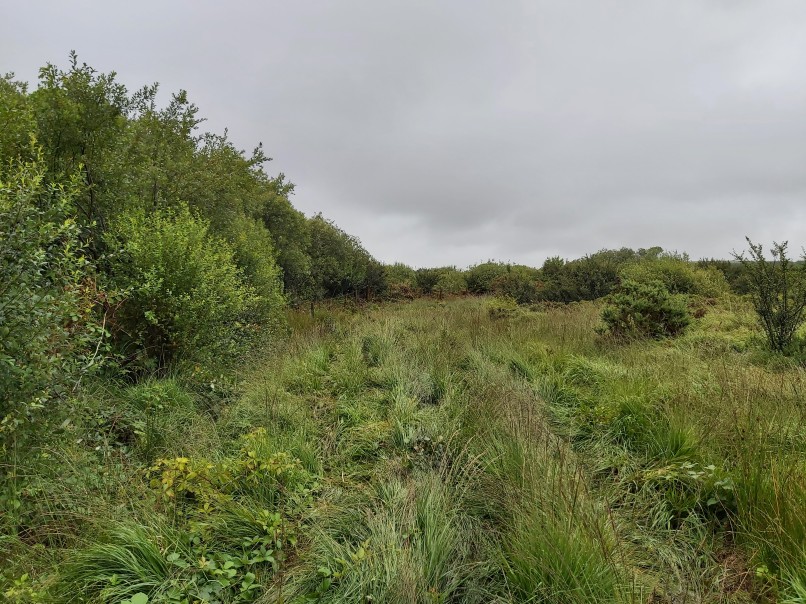 Some fencing in a field